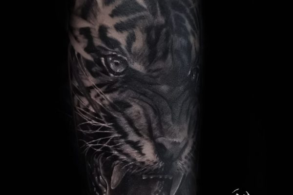 Tiger tattoo