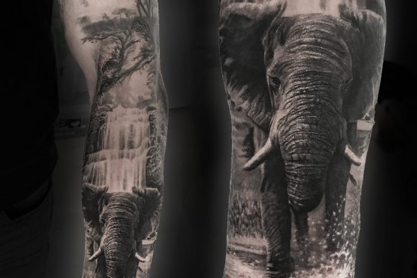 elephant tattoo collage